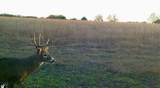 000 Shumway Rd - Photo 18