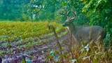 000 Shumway Rd - Photo 19