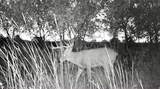 000 Shumway Rd - Photo 27
