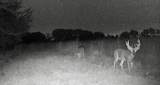 000 Shumway Rd - Photo 28