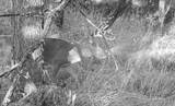 000 Shumway Rd - Photo 29