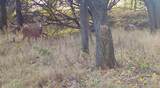 000 Shumway Rd - Photo 30