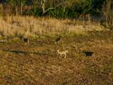 00000 222ND RD - Photo 17