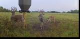 00000 222ND RD - Photo 19