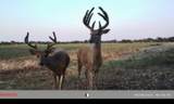 00000 222ND RD - Photo 20