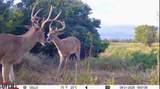 00000 222ND RD - Photo 21