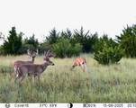00000 222ND RD - Photo 22