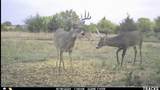 00000 222ND RD - Photo 23