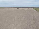 00000 290th Road - Photo 6