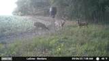 000 Oxen - Photo 26