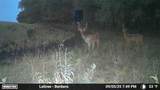 000 Oxen - Photo 27