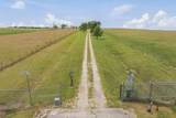551 Daisy Rd - Photo 25
