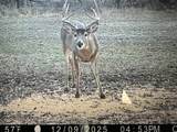 2375 Camp Road - Photo 4