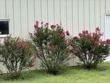 4962 294th - Photo 21
