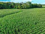 000 County Line Rd - Photo 11