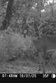 000 County Line Rd - Photo 28
