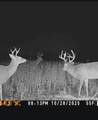 000 County Line Rd - Photo 32