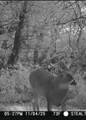 000 County Line Rd - Photo 33