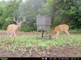 20465 Tawakoni Rd - Photo 32