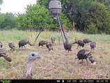 20465 Tawakoni Rd - Photo 33