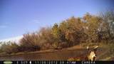 6107 Hoover Rd - Photo 29