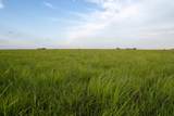 0000 Cr - Photo 22