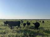  72nd - Photo 20