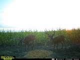 8227 Rock Rd - Photo 14