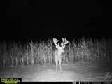 8227 Rock Rd - Photo 15