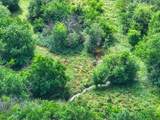 8227 Rock Rd - Photo 21