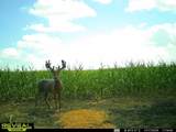 8227 Rock Rd - Photo 30