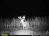 8227 Rock Rd - Photo 31