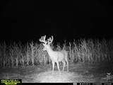 8227 Rock Rd - Photo 32