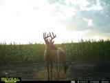 8227 Rock Rd - Photo 34