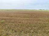 0000 Campbell Rd - Photo 13