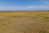 0000 Gypsum Valley - Photo 3