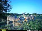 000 20TH ST - Photo 21
