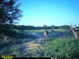 000 20TH ST - Photo 23