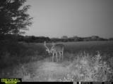000 20TH ST - Photo 25