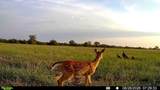 000 20TH ST - Photo 29
