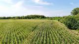 E of Hoch Rd & Nw 94th St - Tract 4 - Photo 16