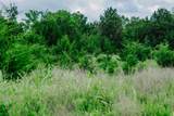 0 Rr Rd - Photo 3
