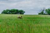 0 Rr Rd - Photo 22