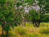 0 Angus - Photo 12