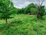 0 Angus - Photo 7