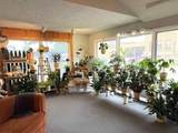 421 Spruce St - Photo 7