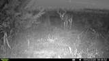 12550 60th St - Photo 35