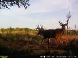 0000 Tumbleweed Rd - Photo 27
