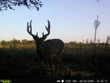 0000 Tumbleweed Rd - Photo 28