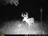 0000 Tumbleweed Rd - Photo 29